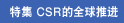 �ؼ���CSR��ȫ���ƽ�