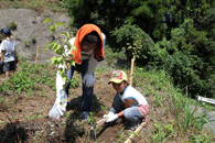 积水海慕九州集团的植树造林活动
