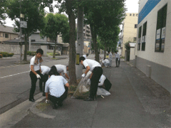 积水海慕中四国